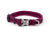 Electric Pink
