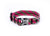Rocky Mt High Dog Collar
