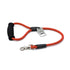 2' Poppy Red Leash