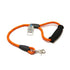 2' Tangerine Swirl Leash