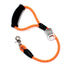 2' Orange Sherbet Leash