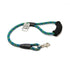 2' Frog Pond Leash