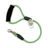 2' Green Lizard Leash