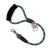 2' Tropical Paradise Leash