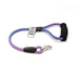 2' Bubblegum Pop Leash